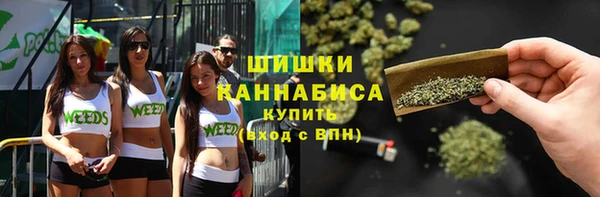 меф Няндома