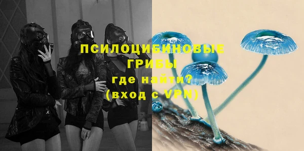 шишки Нязепетровск