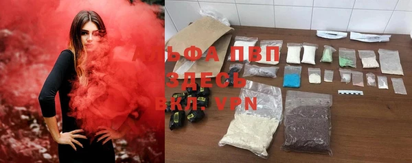 дмт Новозыбков