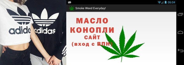 шишки Нязепетровск