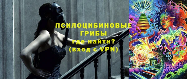 шишки Нязепетровск