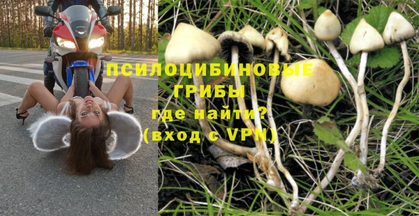 меф Няндома