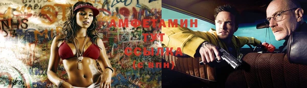 шишки Нязепетровск