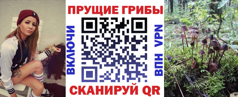 Псилоцибиновые грибы GOLDEN TEACHER  Калач-на-Дону 