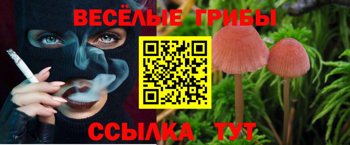 Галлюциногенные грибы GOLDEN TEACHER  Вход с VPN  Псилоцибиновые грибы прущие грибы  Калач-на-Дону 